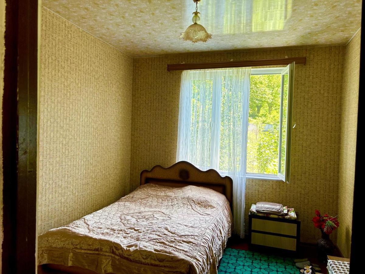 Vaso'S Guesthouse Katskhi Esterno foto